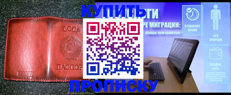 найти адрес прописки в Почепе